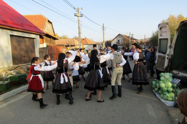 img-3743-resize963FD970-3194-F0DB-5E11-9CEF4B6CCE3A.jpg