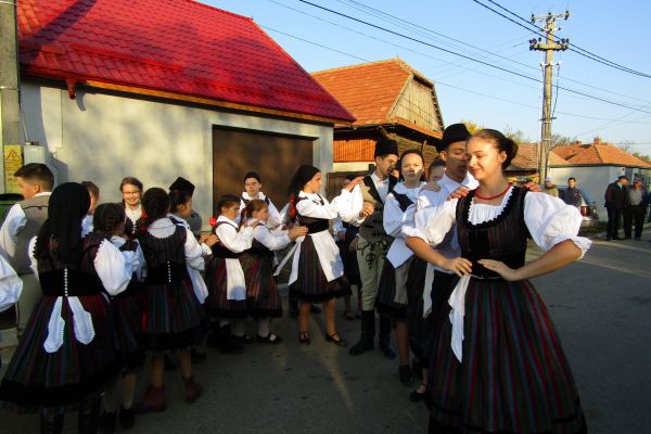 img-3751-resize9B70B714-01EA-B63F-0354-0901912C20DE.jpg